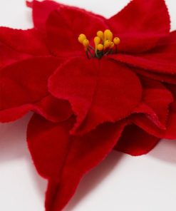 Jameslyon.shop26efbe6f28 3